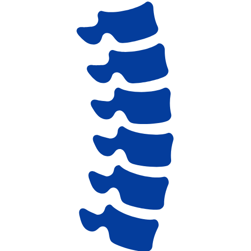 Spine