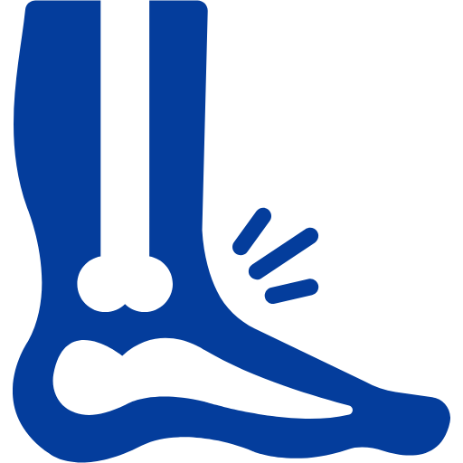 ankle